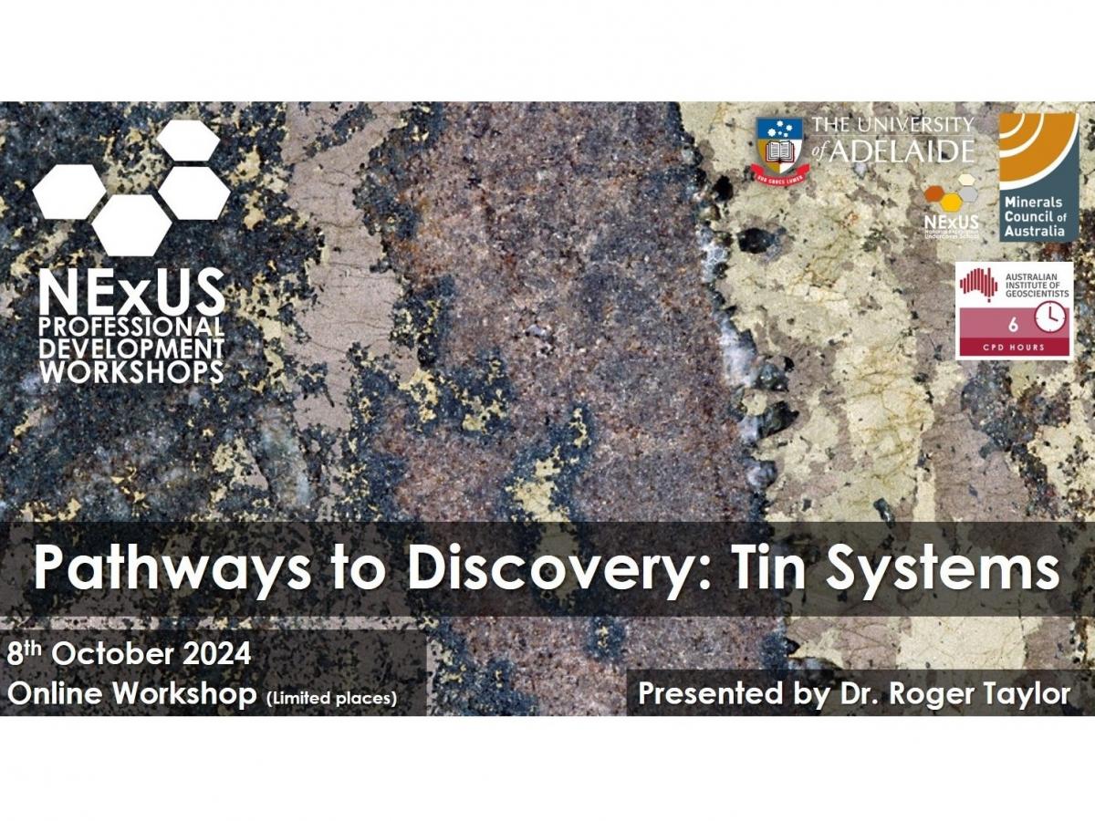 Pathways to Discovery: Tin Systems