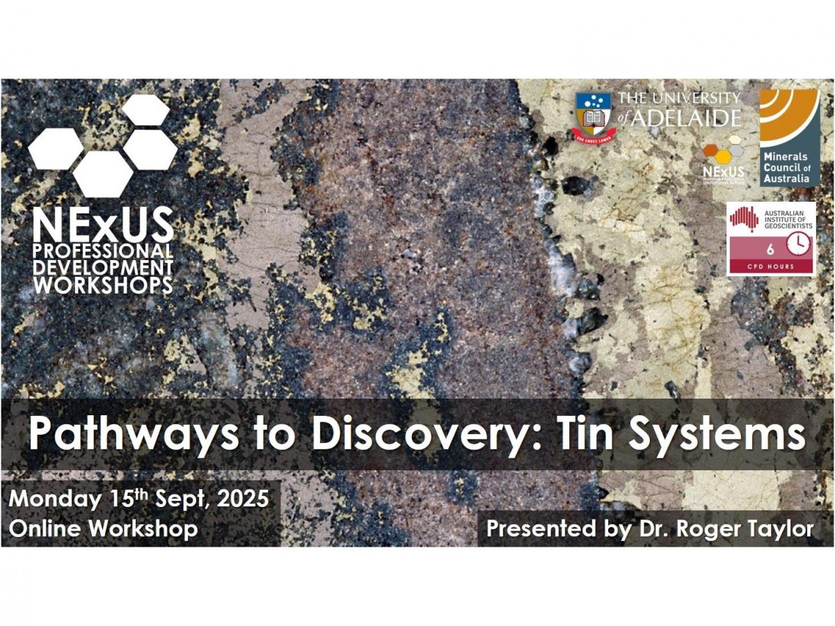 Pathways to Discovery: Tin Systems