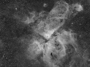 eta Carinae nebula, Skywatcher ED62 at f/5.6, Optolong 7nm H-alpha filter, ZWO ASI2600MM-Pro camera.