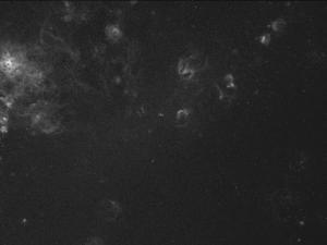 LMC, continuum-subtracted H-alpha. Skywatcher 62ED at f/5.6, Optolong R and 7nm H-alpha filters, ZWO ASI2600MM-Pro camera. 