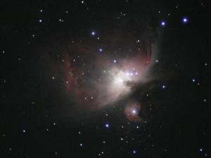 Orion nebula, live-stack of five 4-second integrations. Skywatcher ED62 at f/5.6, uncooled ZWO ASI78MC camera.