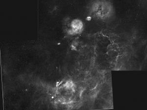 Region of the Vela supernova remnant, continuum-subtracted H-alpha. Tamron 135mm f/4 lens, Optolong R and 7nm H-alpha filters, ZWO ASI2600MM-Pro camera. 