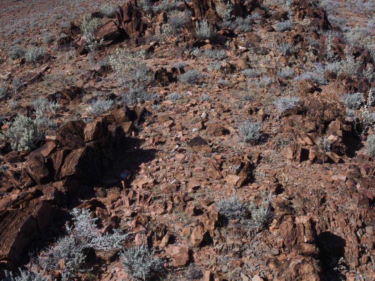 The base of the Bolla Bollana Tillite in Termination Valley, Willouran Ranges, Northern Flinders.