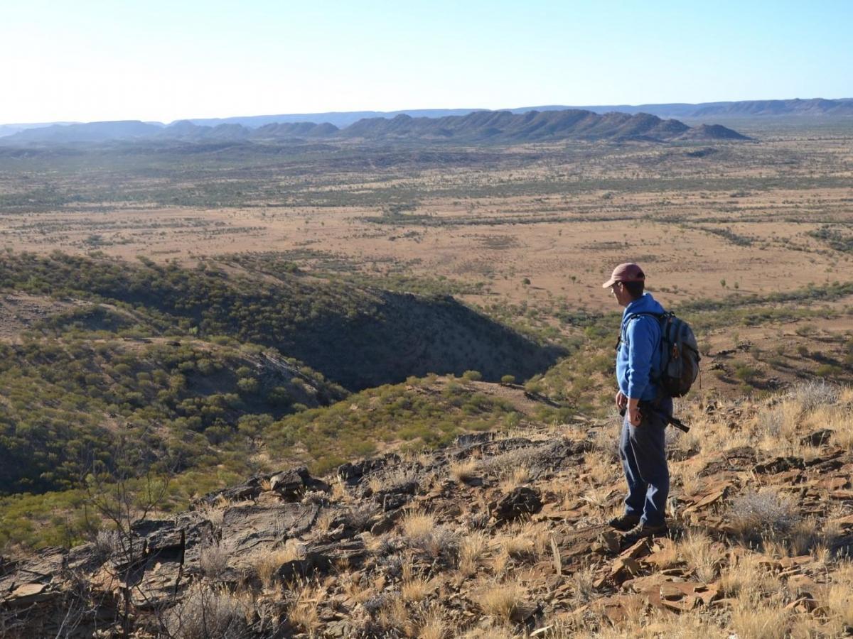 The Limbla Syncline - Amadeus Basin, Central Australia