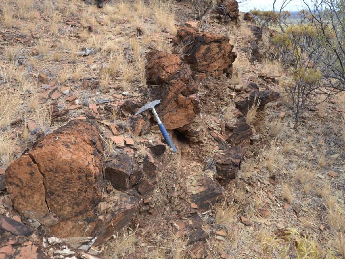 Stromatolitic Reefs in the Ringwood Member (Aralka Formation), Amadeus Basin.