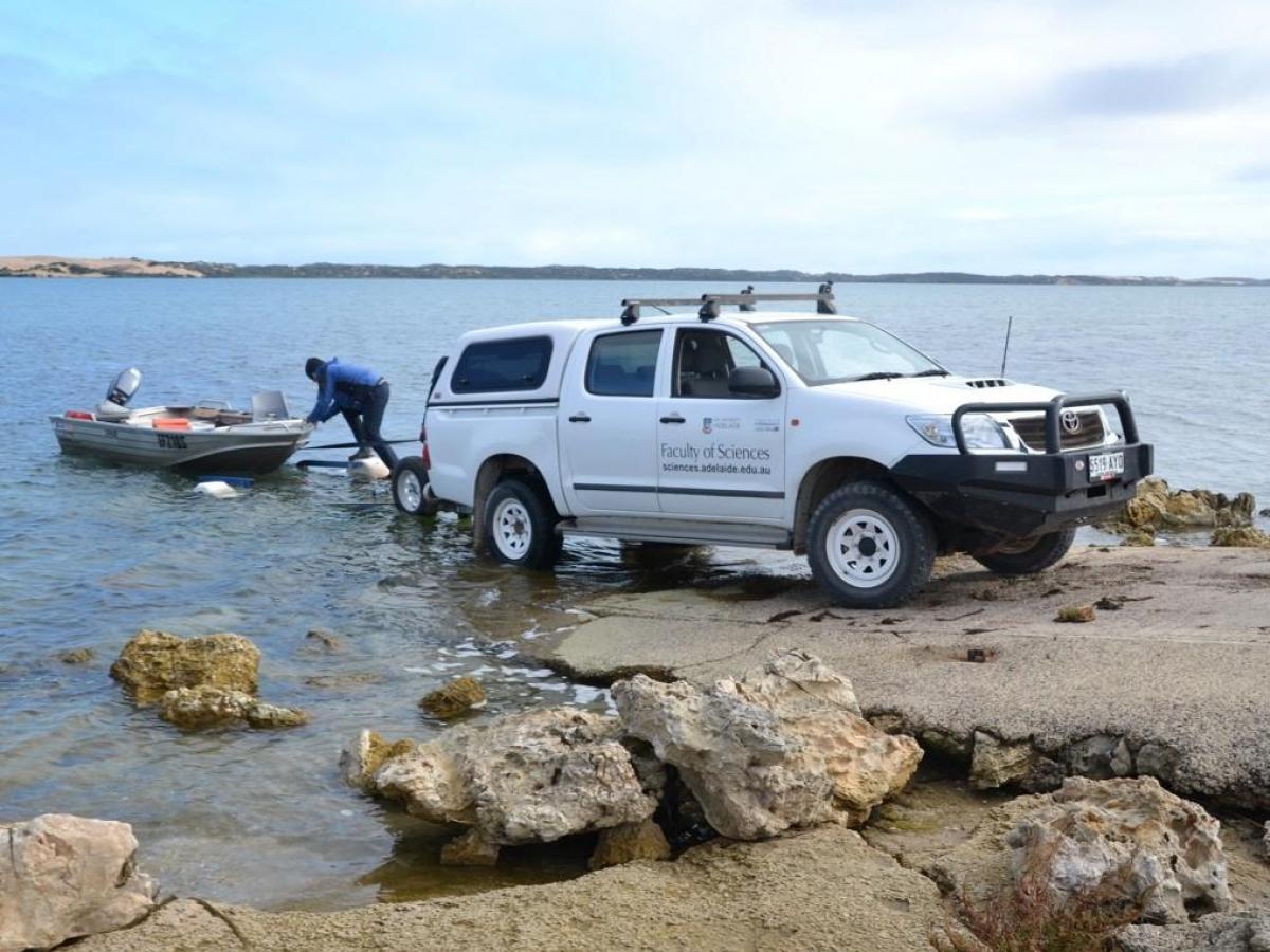 Sampling of waters in the Coorong - North Lagoon.