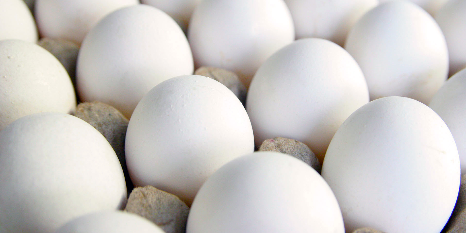 Cracking the secret of omega3 enriched eggs Faculty of Sciences