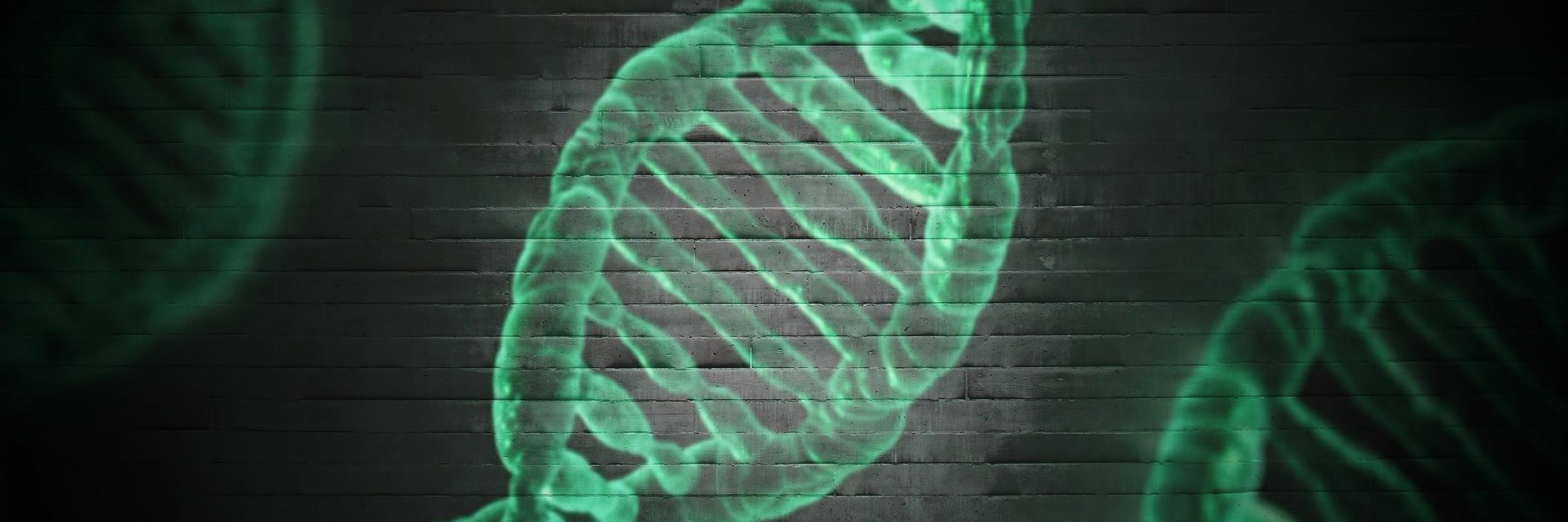 DNA image