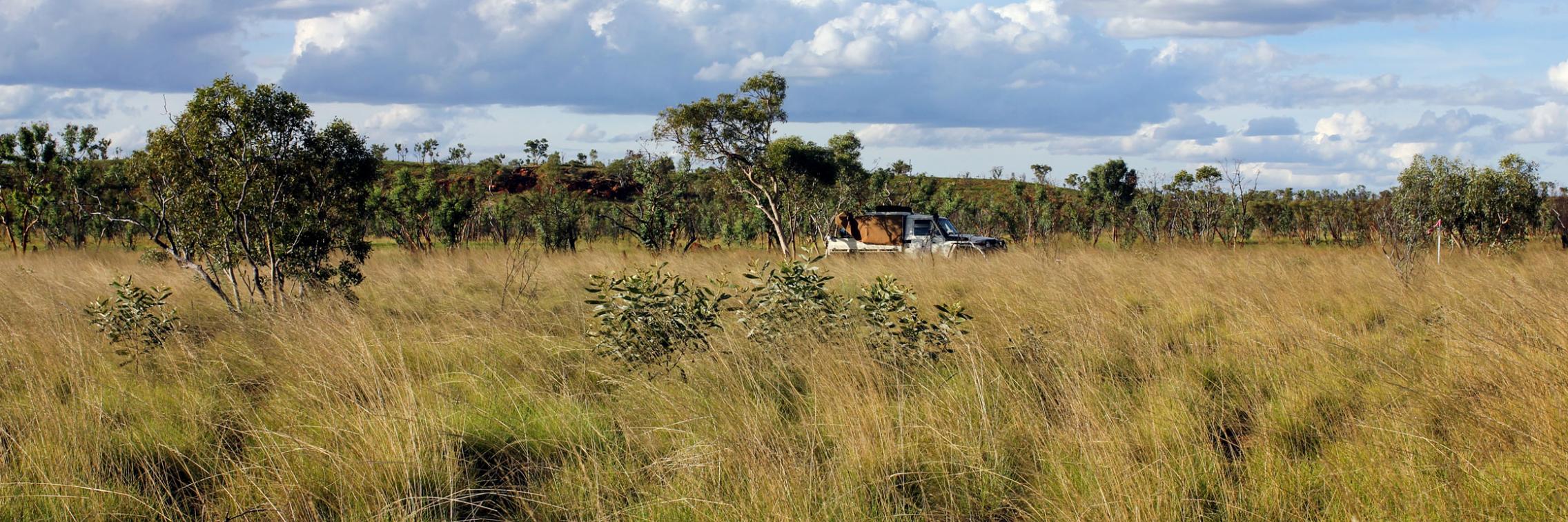 Explaining the history of Australia’s vegetation