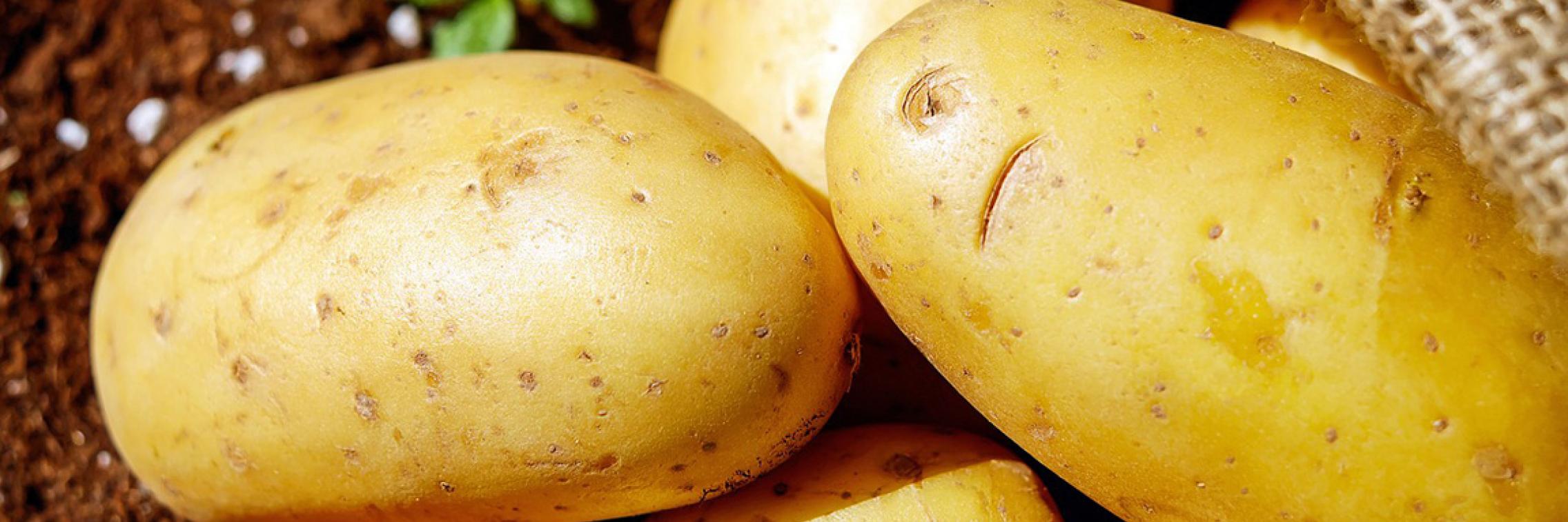 Potatoes