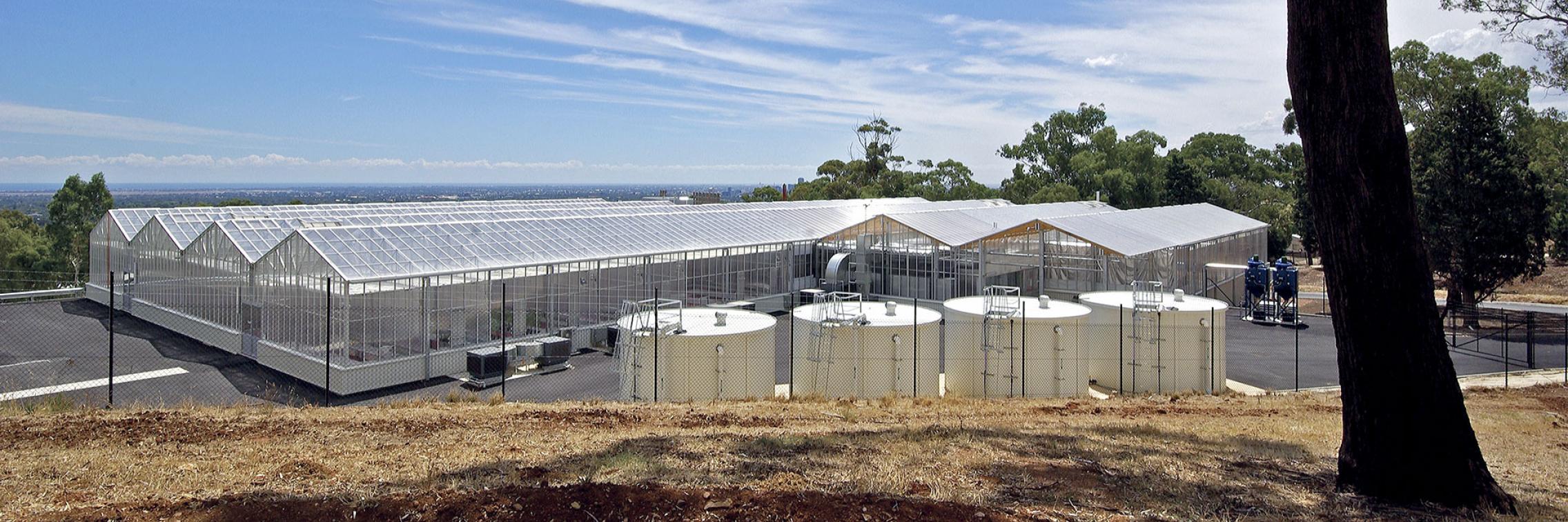 Plant Accelerator, Waite campus