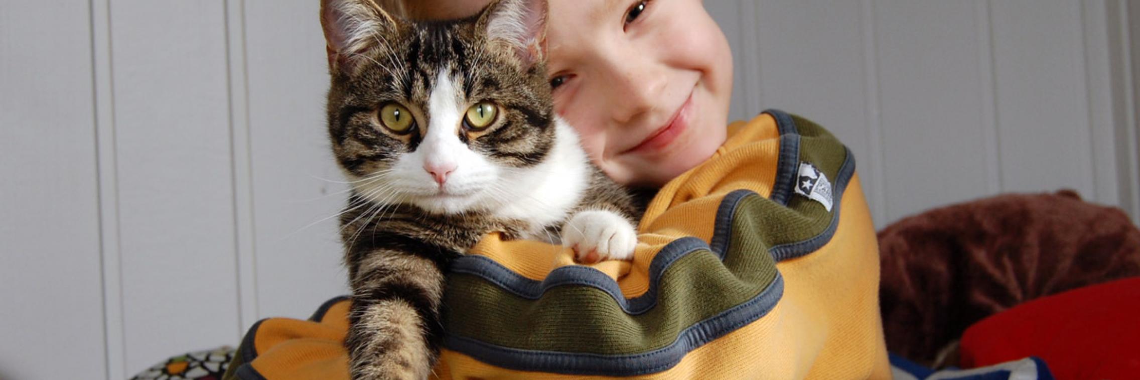 Cat hug Image by Markus Lehmann via Pixabay