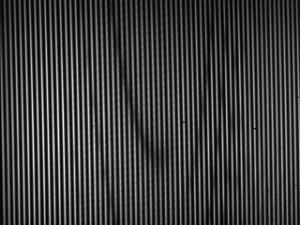 The output of the experiment before processing, with the carbon dioxide absorption being the darker semicircles.