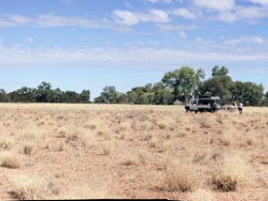 Astrebla and Aristida dominated low open tussock grassland with scattered Tripogon loliiformis, on Mackunda Downs Station, Queensland.