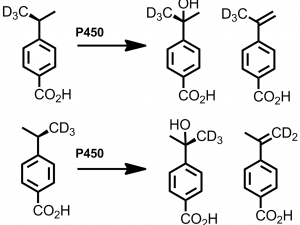 Stephen Bell - Mechanism of enzyme catalysed reactions of importance in drug metabolism