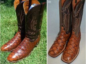 Example images of leather products advertised on the US eBay website.  The boots in (a) are made from pangolin skin and were advertised as pre‐owned “classic anteater boots” of the brand “Lucchese,” valued at US$1,500 as a starting price and available for international shipping.  The boots in (b) are also Lucchese boots, but made from arapaima skin. These boots were advertised as “New with defects,” valued at US$415.65 as a starting price and also available for international shipping.