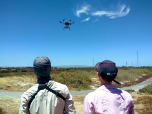 Researchers using drones to monitor coastal habitats at Mutton Cove