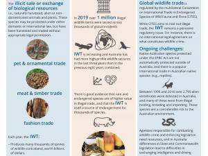 Illegal Wildlife Trade fact sheet