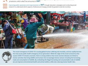 Illegal Wildlife Trade fact sheet page 2