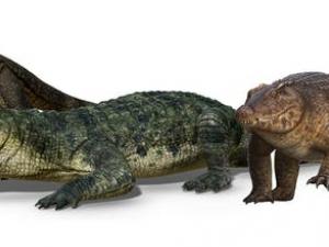 Mega-reptiles of Pleistocene tropical Australia. V. Konstantinov, A. Atuchin, R. Allen, S. Hocknull. Queensland Museum.