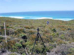 TERN established 12 permanent environmental monitoring plots on Kangaroo Island in 2018, collecting key baseline vegetation and soil information that will enable scientists to track post-fire recovery rates and ecosystem resilience.