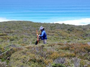 TERN established 12 permanent environmental monitoring plots on Kangaroo Island in 2018, collecting key baseline vegetation and soil information that will enable scientists to track post-fire recovery rates and ecosystem resilience.