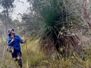 TERN established 12 permanent environmental monitoring plots on Kangaroo Island in 2018, collecting key baseline vegetation and soil information that will enable scientists to track post-fire recovery rates and ecosystem resilience.