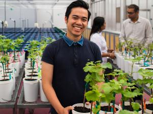 Viticulture student