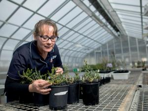 Agriculture, food and wine