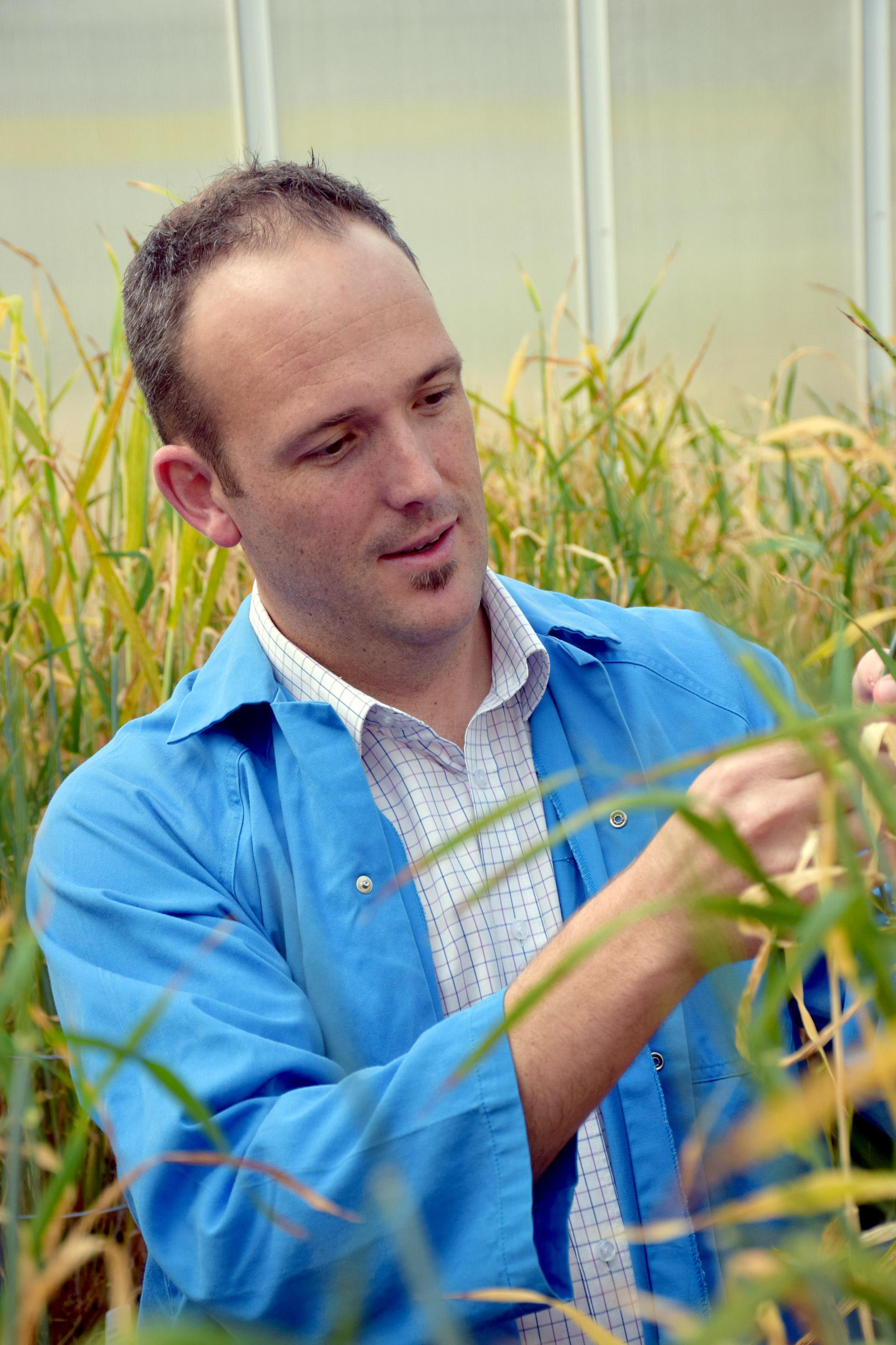 School of Agriculture, Food and Wine researcher Associate Professor Matthew Tucker.