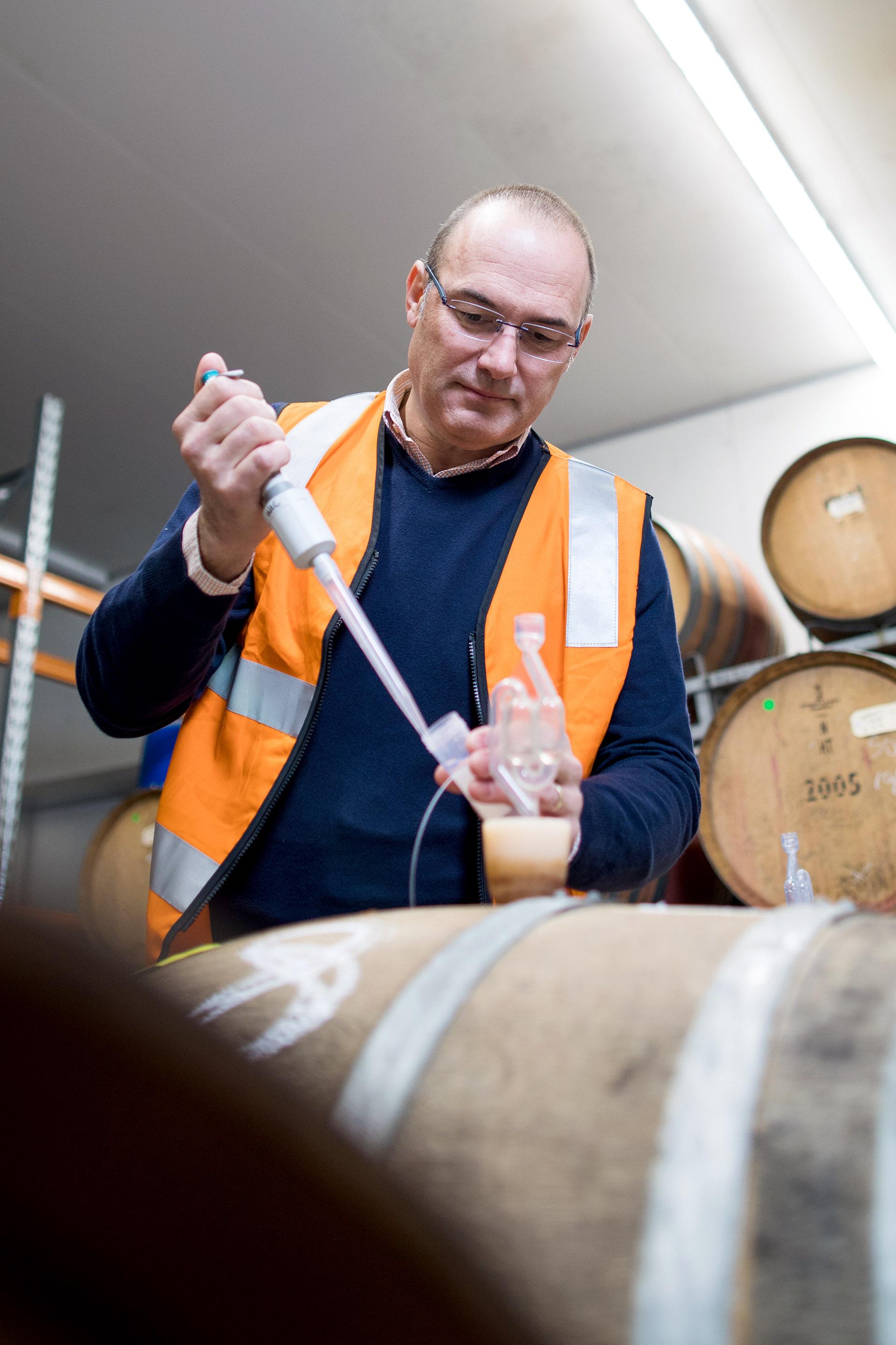 Professor Vlad Jiranek, Oenology