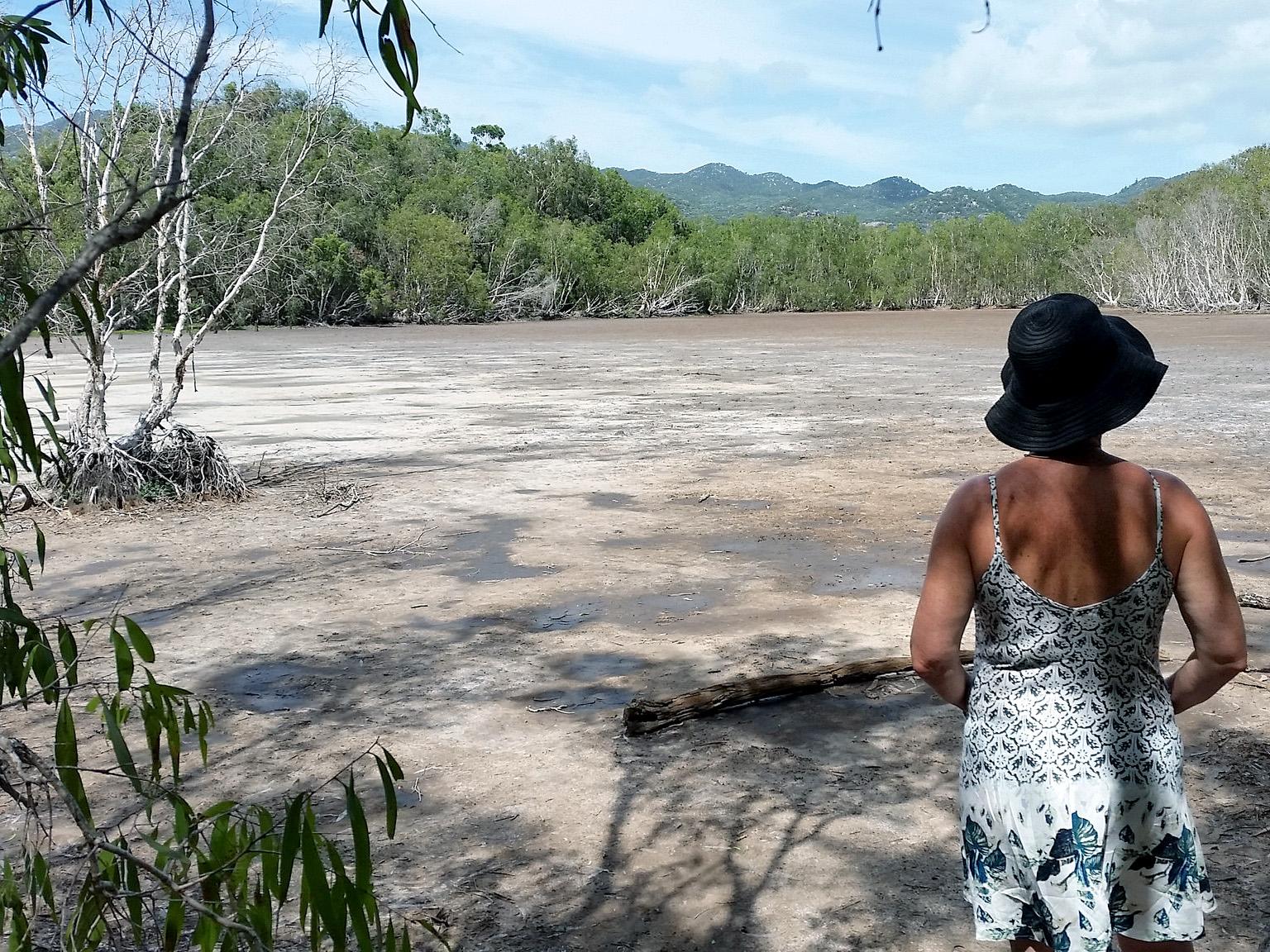 Arid wetland vegetation dynamics