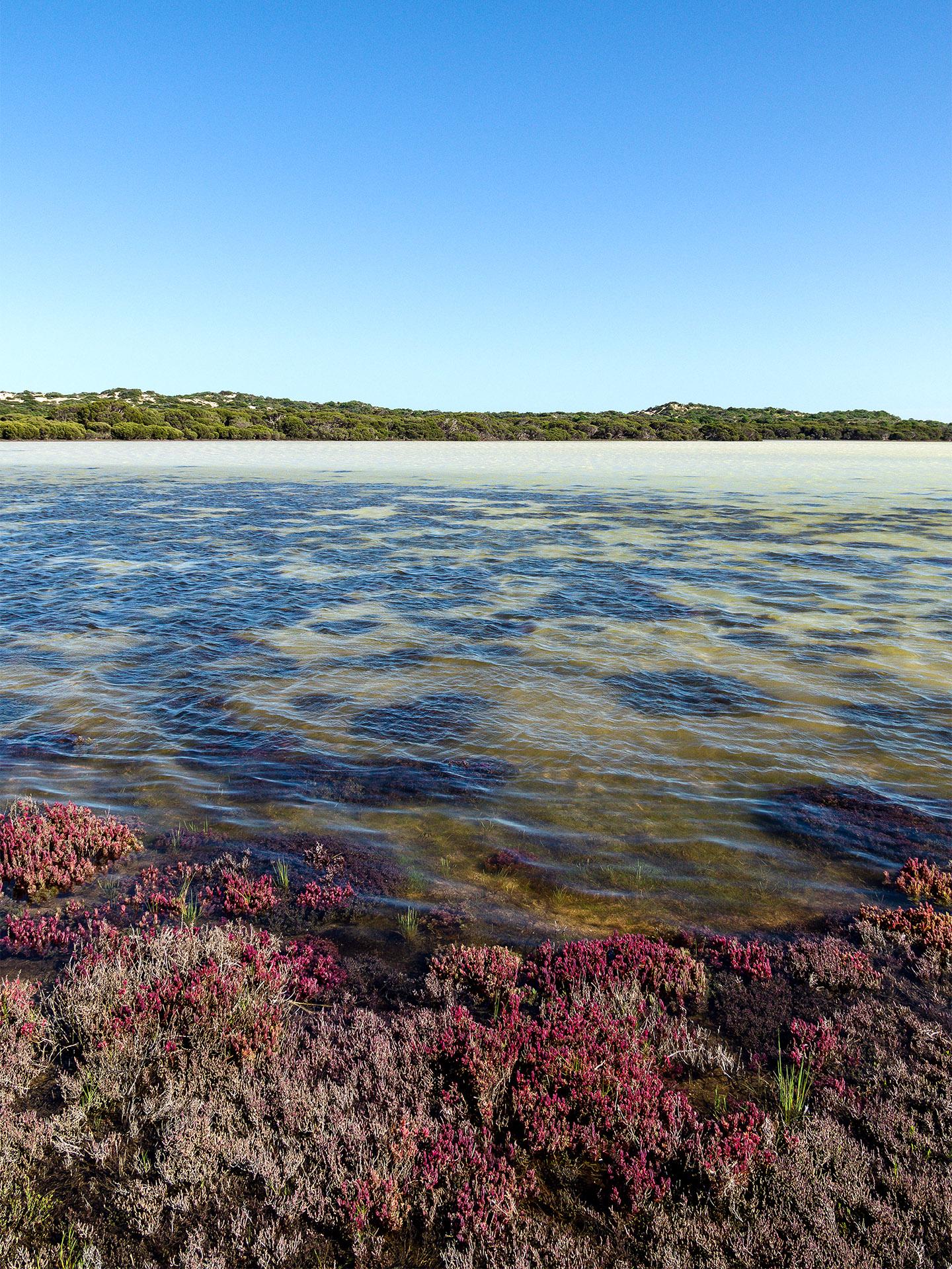 Coorong National Park - water research