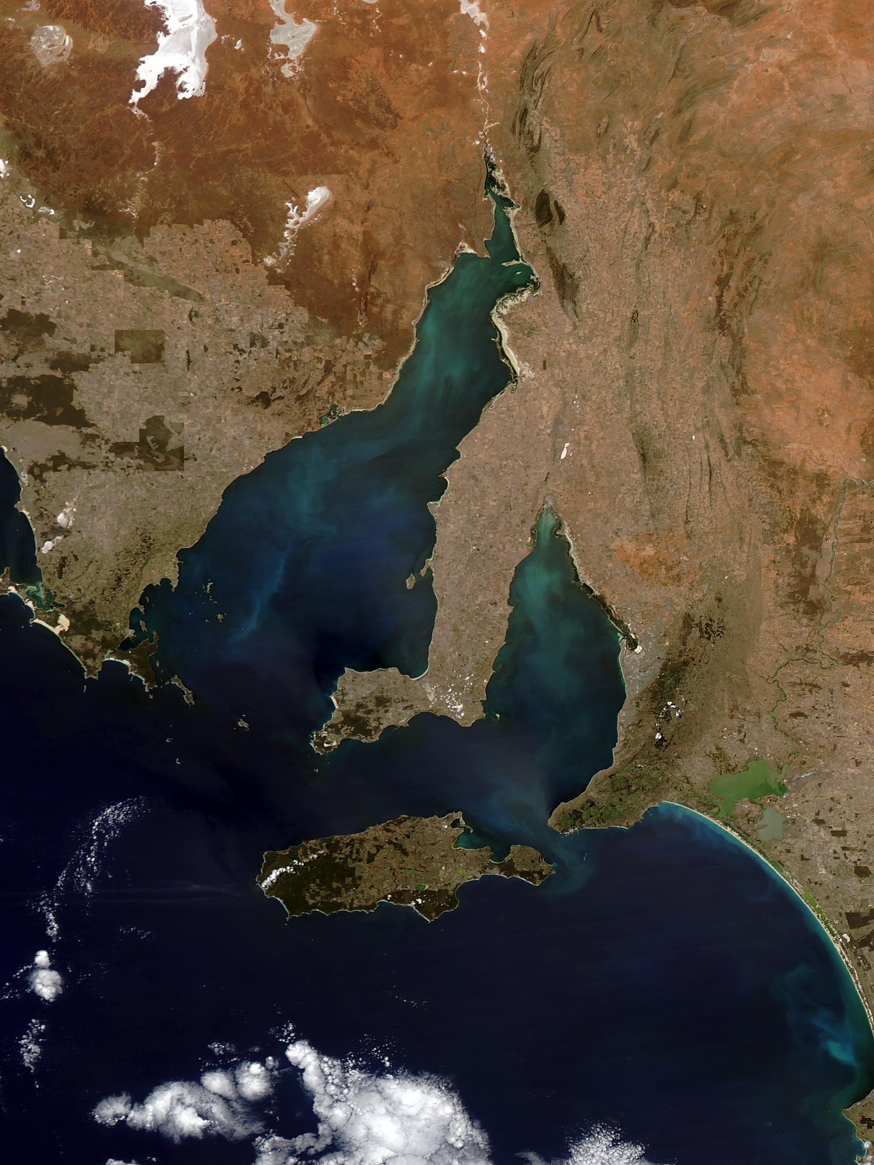 Colorful blue-green water off the coast of South Australia. The striking colors could be due to sediment brought to the surface when strong winds churn shallow waters. Courtesy: NASA