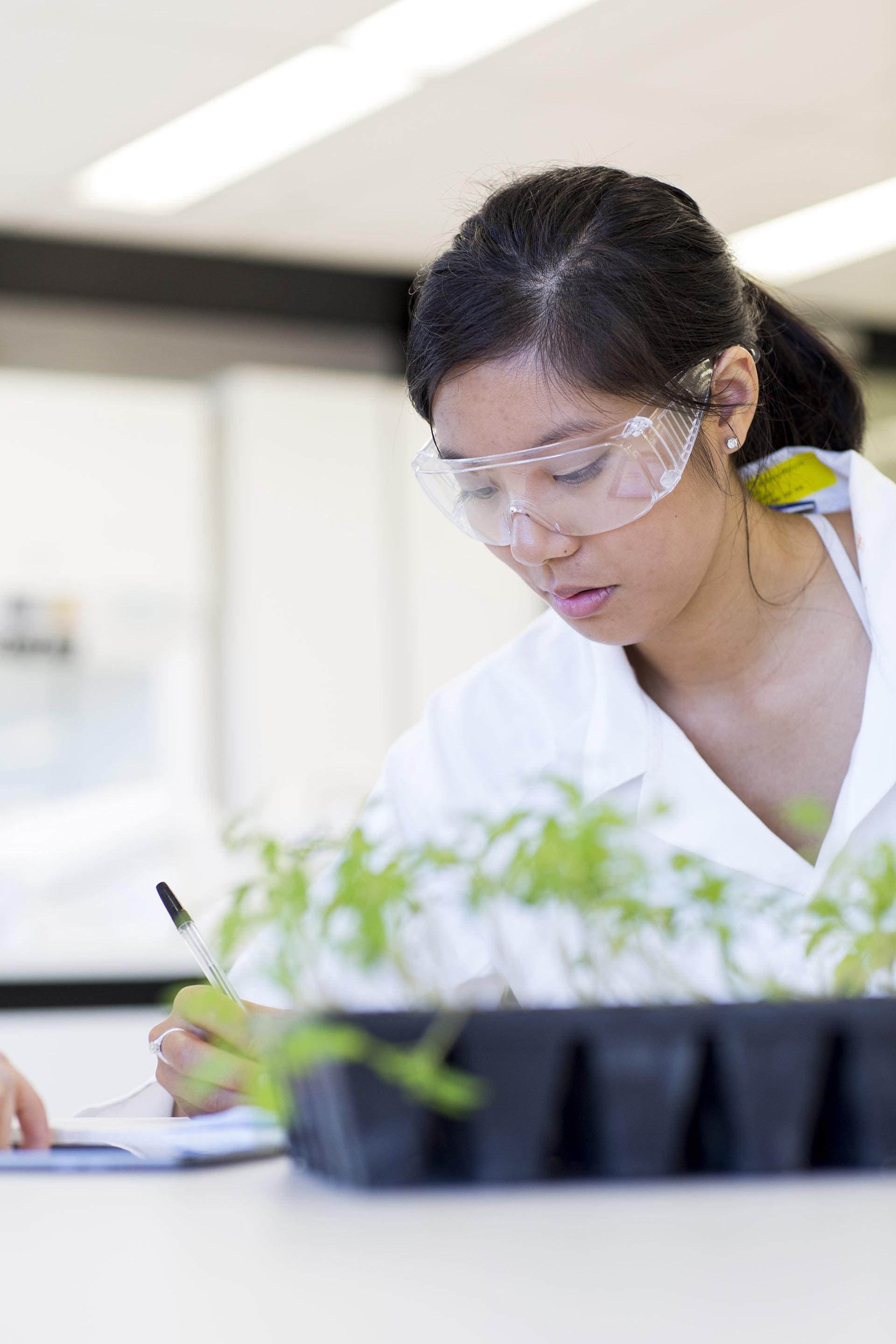 Plant science laboratory work