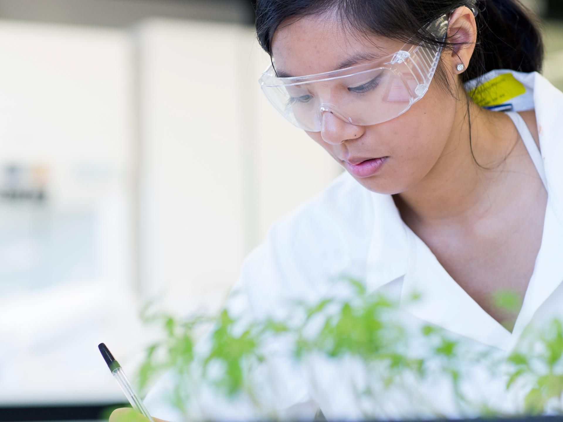 Plant science laboratory work