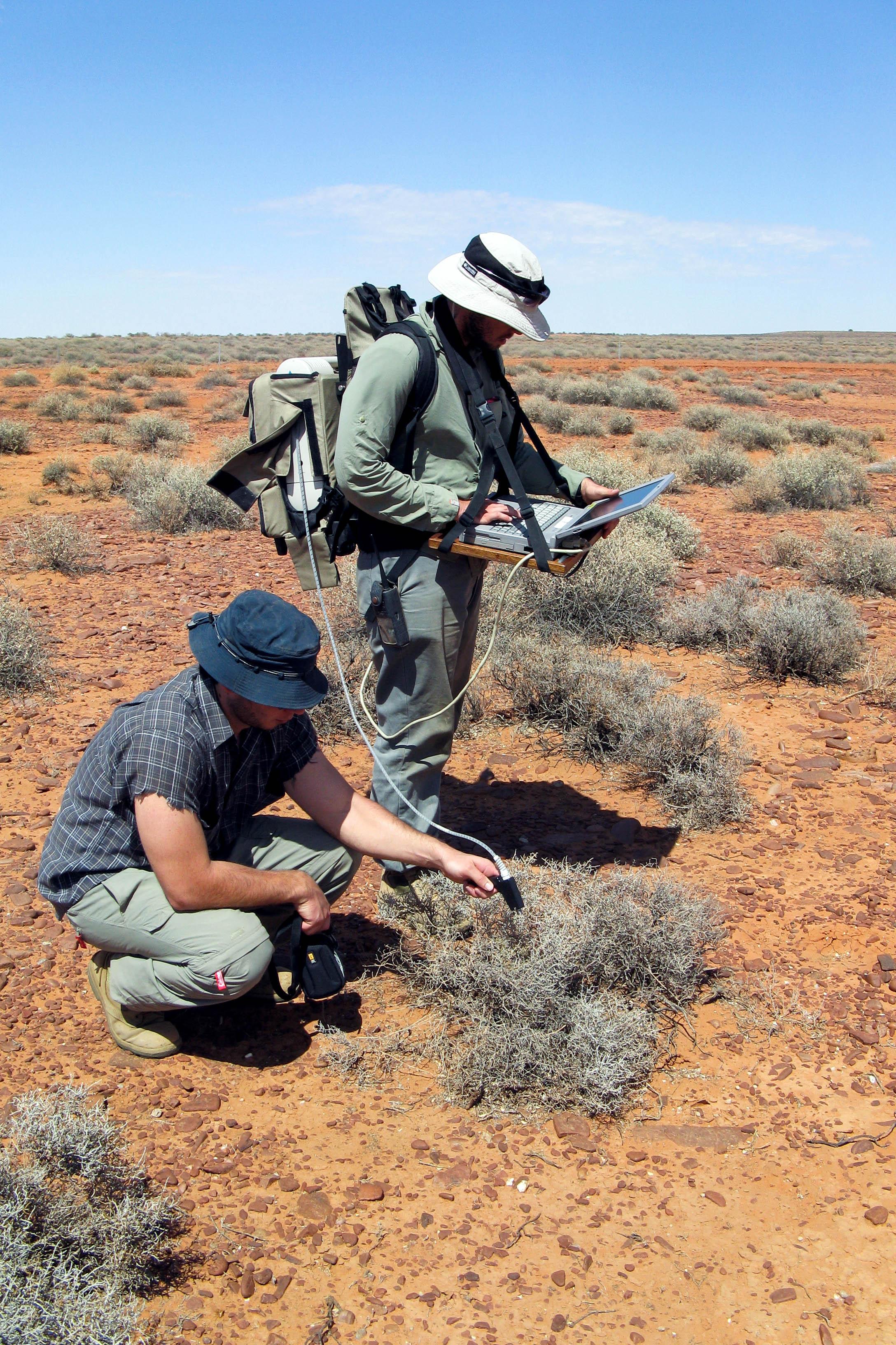 Field work environmental science