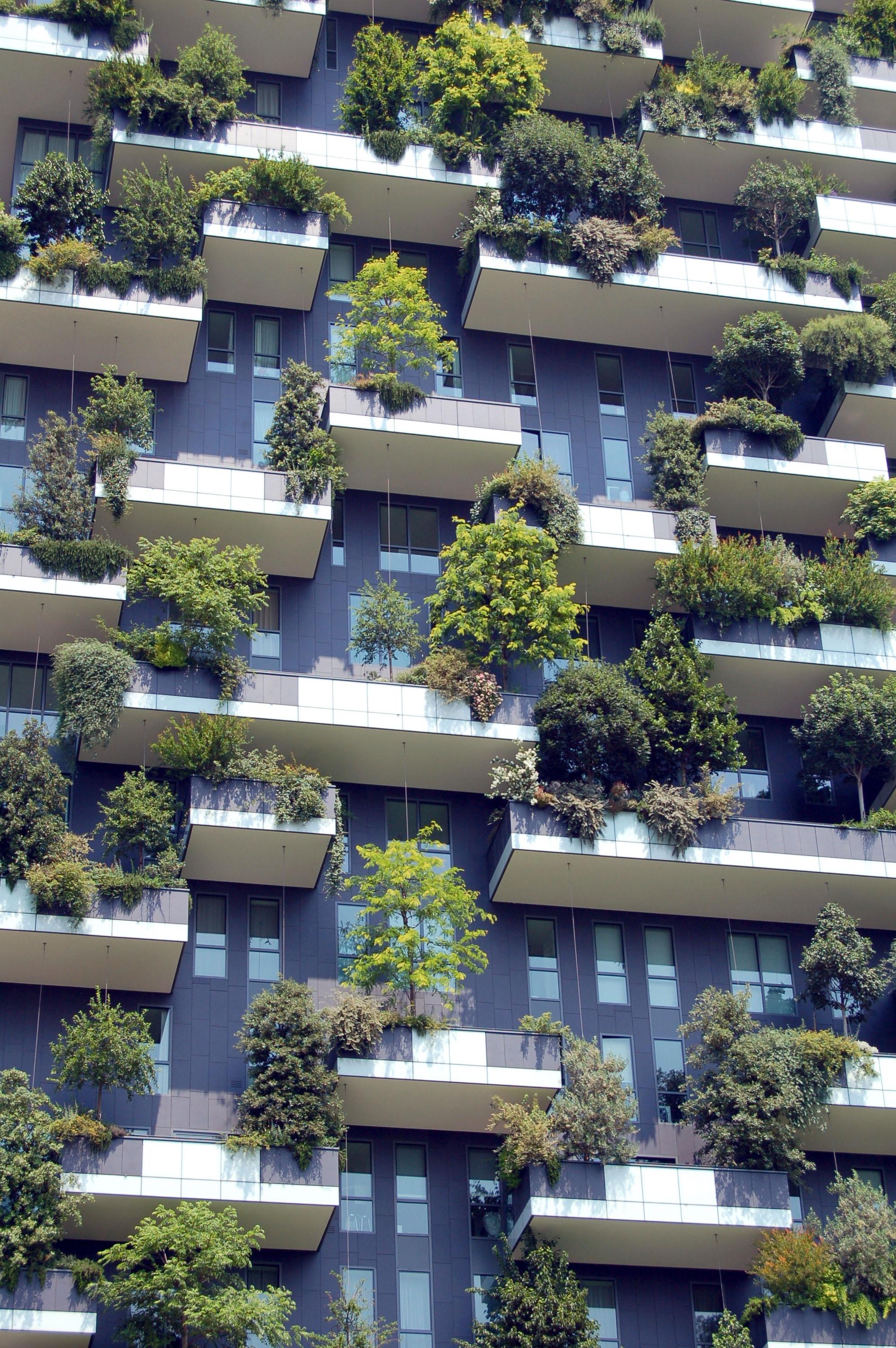 Urban rewilding