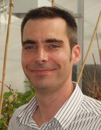 Professor Matt Gilliham