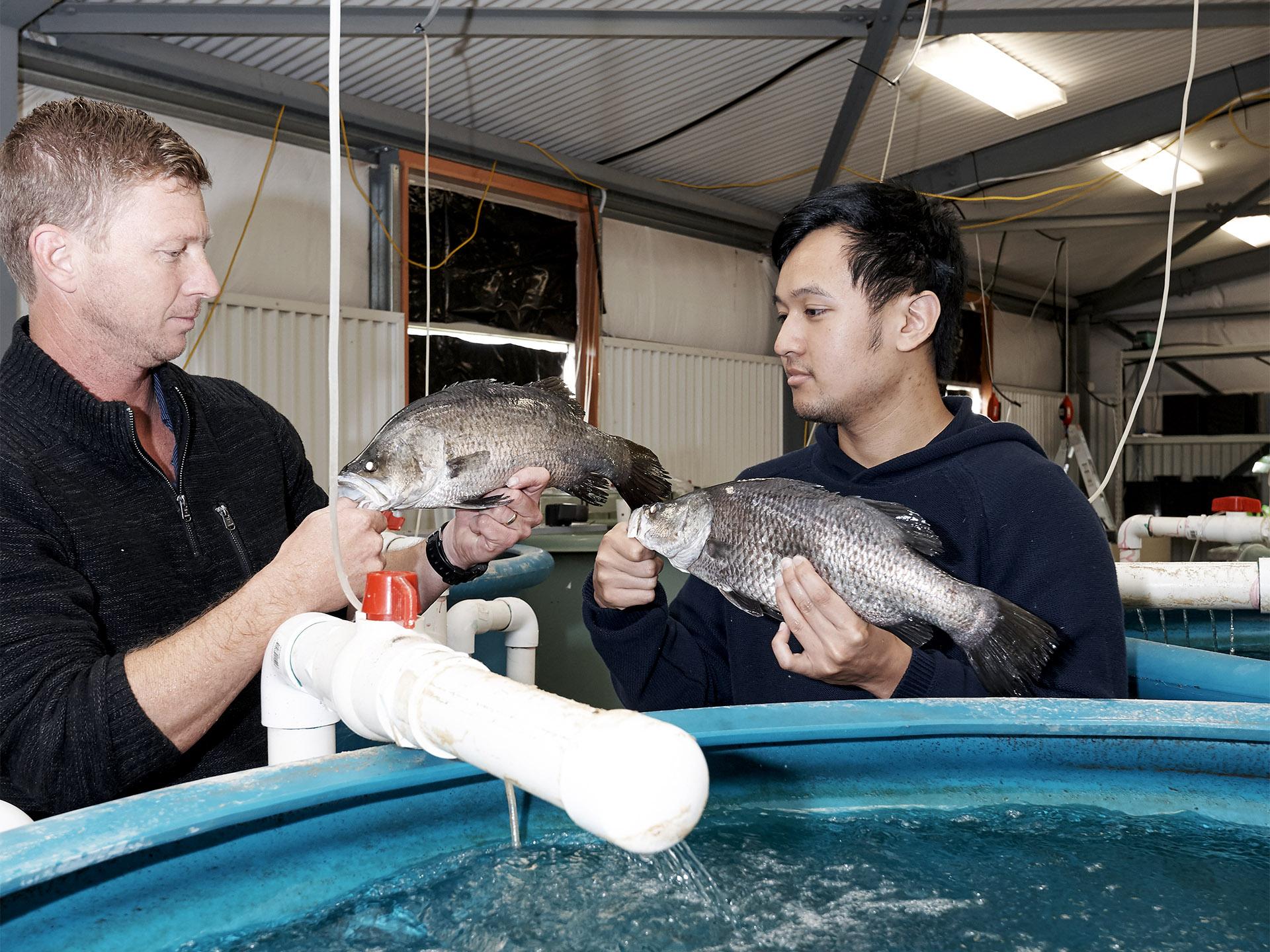 Aquaculture