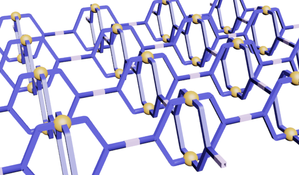 Witold Bloch supramolecular cages