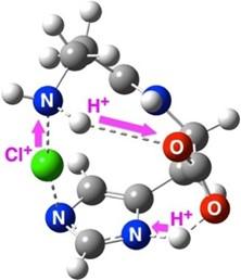 Molecular mechanism of the antioxidant Carnosine