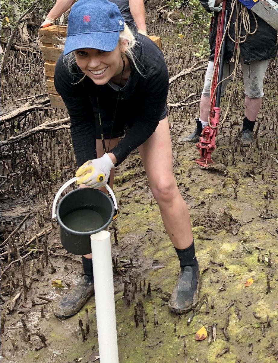 Nicole Foster PhD coastal vegetation research