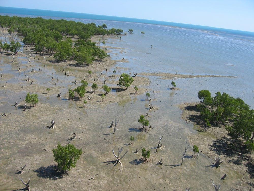 As sea levels rose, Australia was eventually cut off from New Guinea around 8,000 to 10,000 thousand years ago. Corey Bradshaw