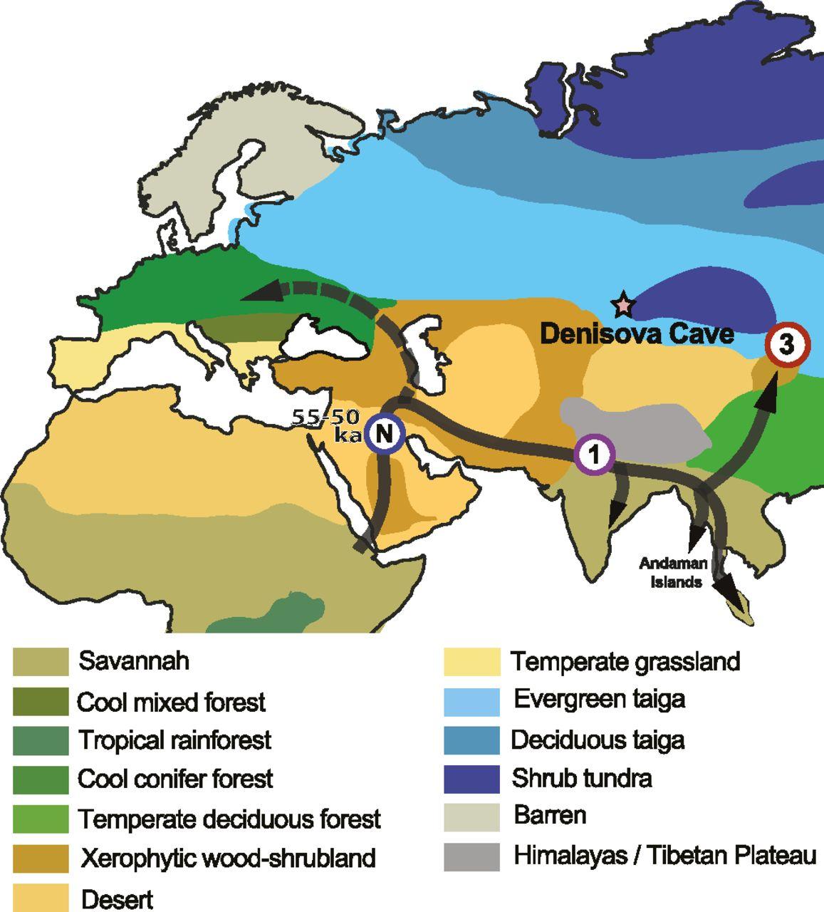 Teixeira genetic analysis evolution fig 1