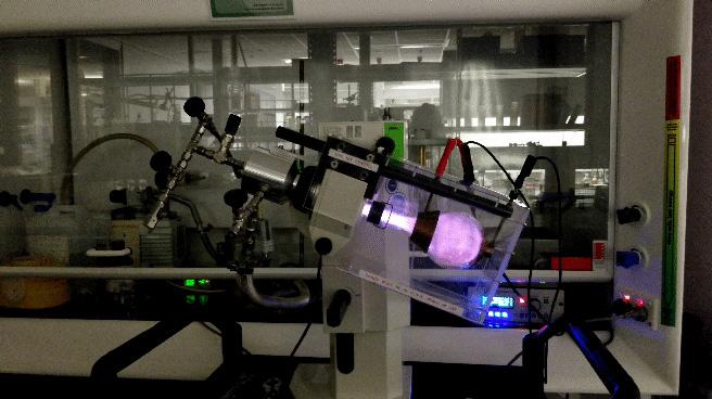 Improving food safety using plasma sterilisation