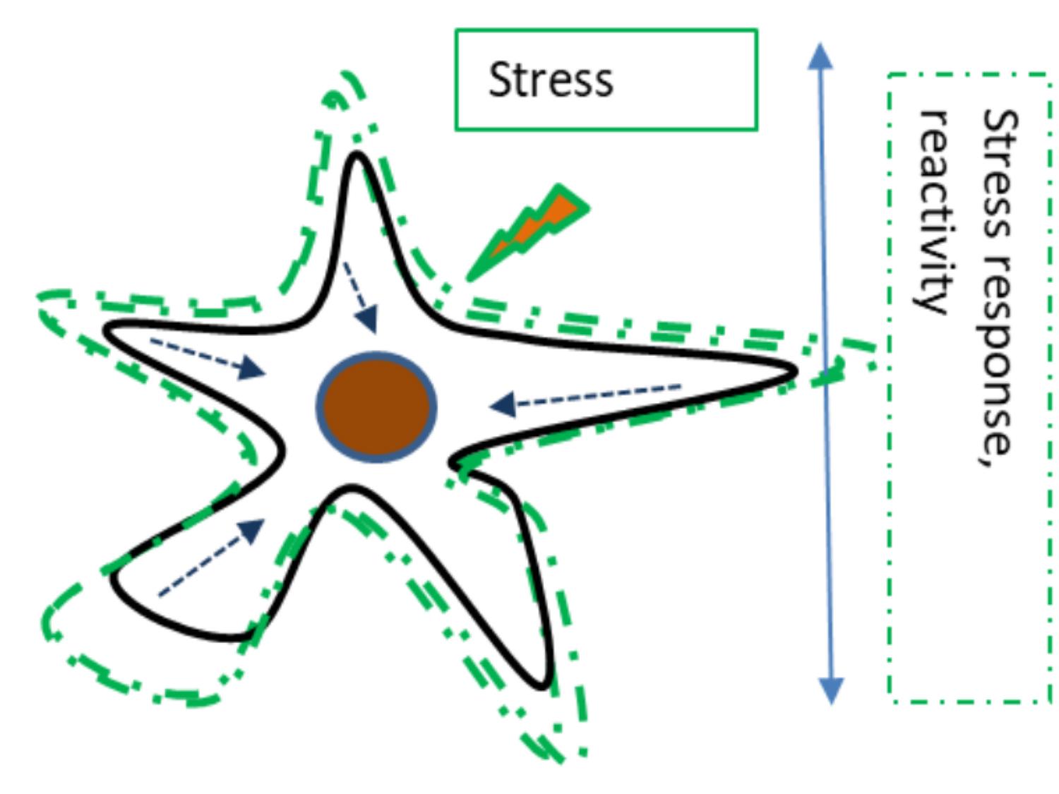 Determining the effect of protein quality control to astrocyte stress responses