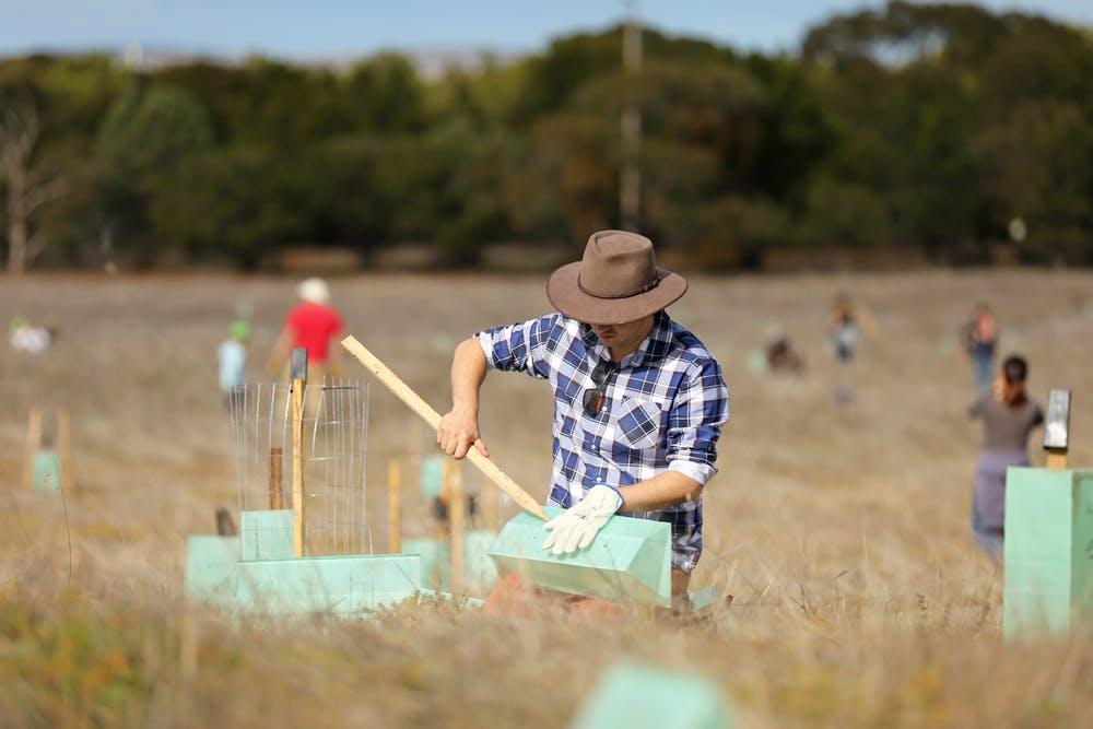 Grazing field work Courtesy - Tom Hunt