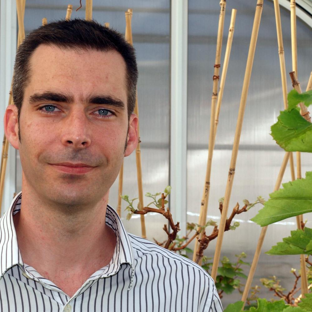 Professor Matthew Gilliham