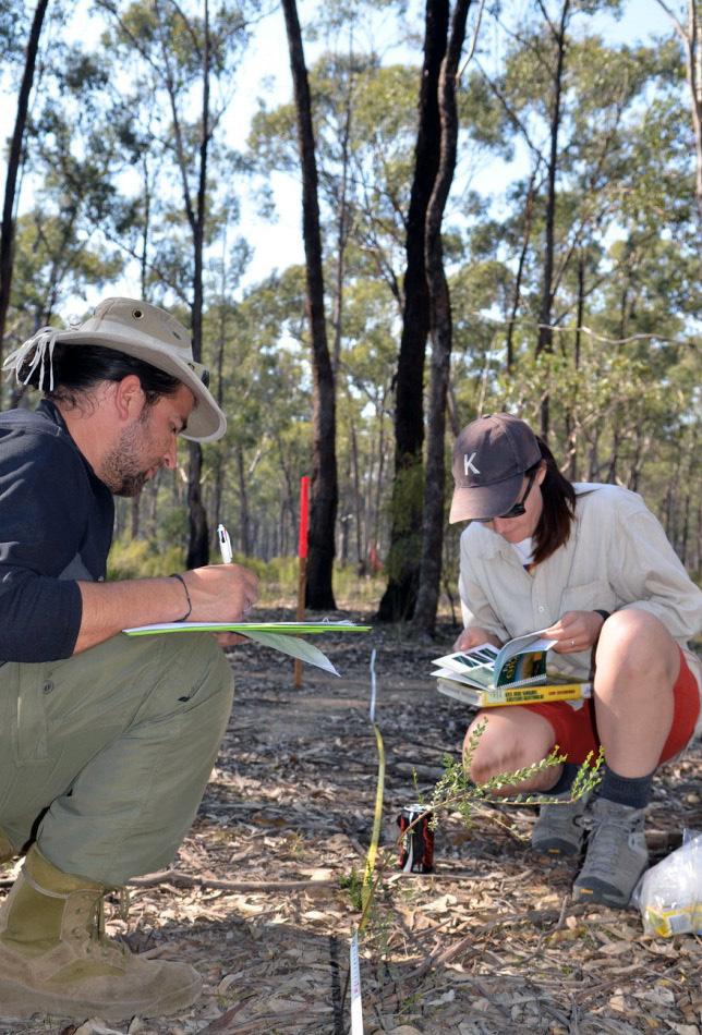 TERN Ecosystem Surveillance